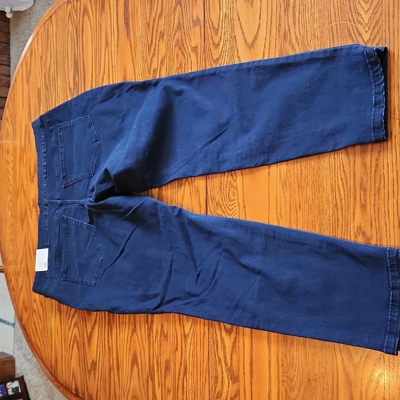 Lane Bryant Signature Fit Jegging NWT - Picture 5 of 6